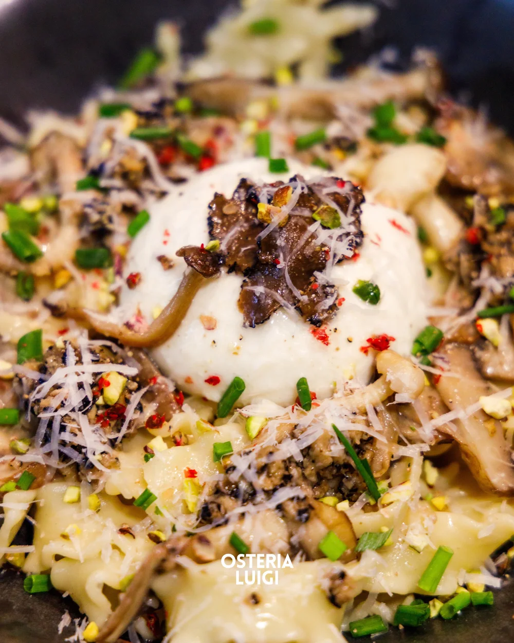 Mafaldine com cogumelos selvagens, burrata cremosa no centro, trufa, pistácio e cebolinho